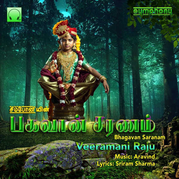 Bhagavan Saranam