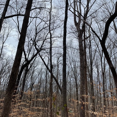 Lucina (feat. 13Teen) - Single