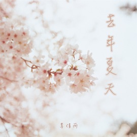 去年夏天 李佳芮