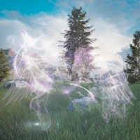 Do U Believe in Me? - Single - Webby