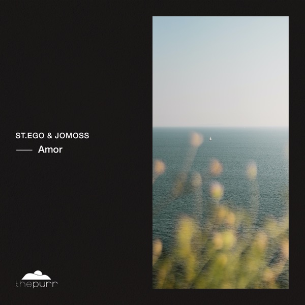 Amor - Single