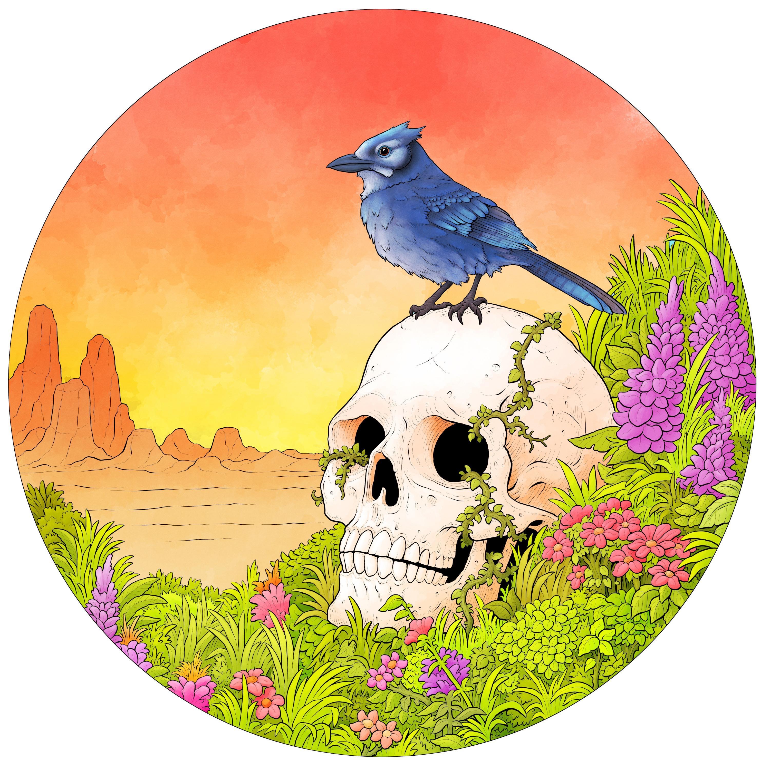 Way of the Blue Jay