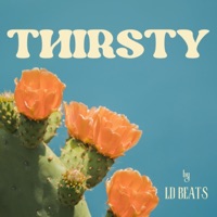 THIRSTY (feat. GODDESS) - Single - LD BEATS
