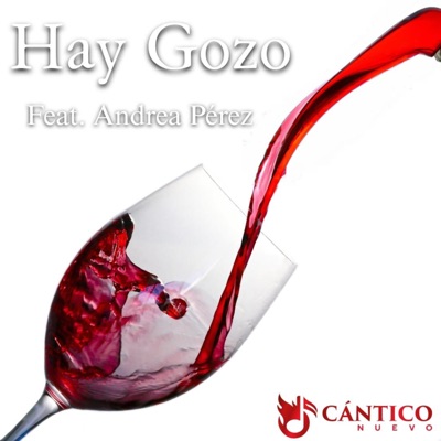 Hay gozo (feat. Andrea Pérez) - Single