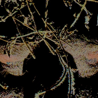 The Harder They Fall EP