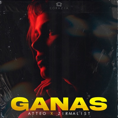 Ganas (feat. Zirmalist) - Single