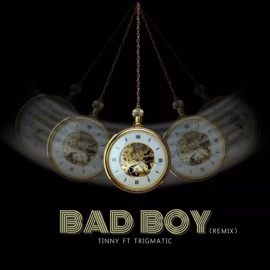 Bad Boy (feat. Trigmatic) [Remix] Tinny