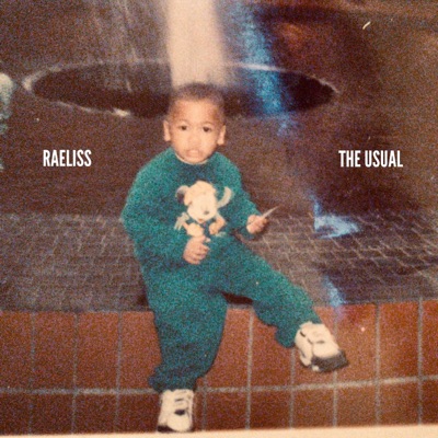 The Usual (Freestyle) - Single