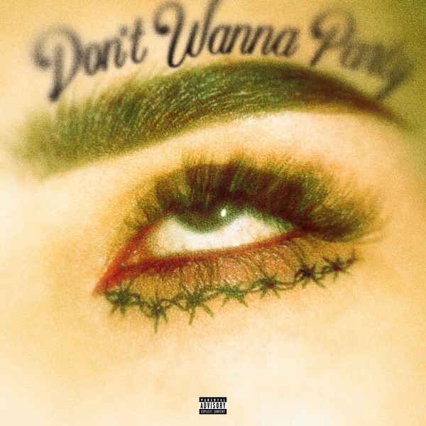 Don't Wanna Party