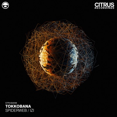 Spiderweb / Izi - Single