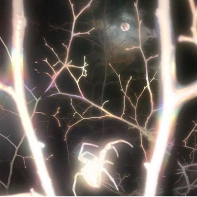 Shine (feat. Kayne) - Single