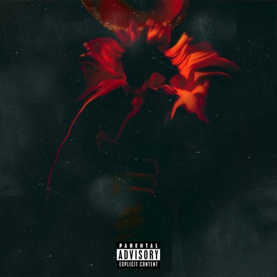 Bae - Single