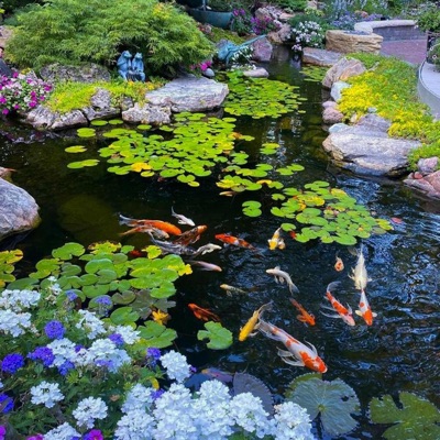 j'voudrais vrmt que ça dure + d'100 ans<3 - Single