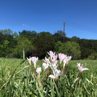 Ungraceful Fall - Single - Kersarge