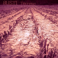 Terreno - Single - Busti
