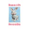 Tough Love - Beach Fossils lyrics