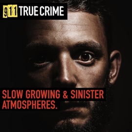 Slow Fear James Cox & 911 True Crime