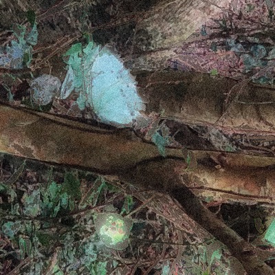 Sentimento (feat. MAICON THE STRANGE & MARRRS) - Single