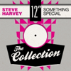Something Special: The Collection - Steve "The Scotsman" Harvey
