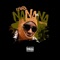 NaNaNaNa (Freestyle) - K Pi$tol lyrics
