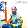 Honey Bee - Muddy Waters
