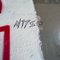 nevadid (feat. Tekeo) - Single - MTFSG