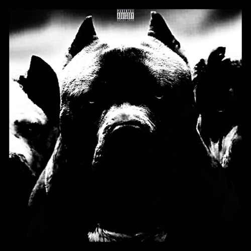 Plenty B!tches - Single