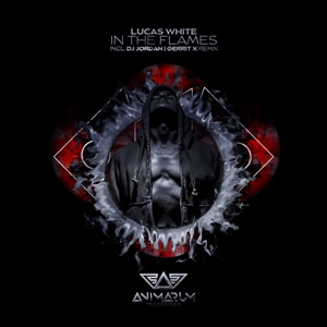 In the Flames - Single