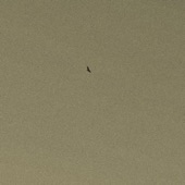 Keepers of the Earth Pt. 2