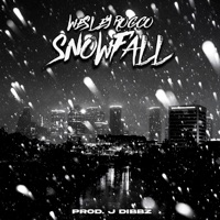 Snowfall (feat. J Dibbz) - Single - Wesley Rocco