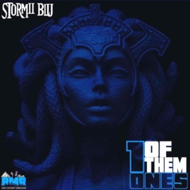 1 Of Them Ones Stormii Blu