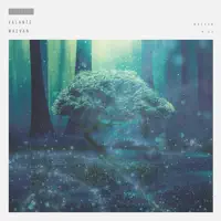 Maevan — Valante