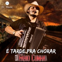 É Tarde pra Chorar - Single - Fabio Cunha