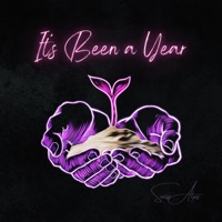 Its Been a Year - Single - Swiss Alps