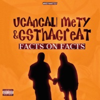 Facts On Facts (feat. GSTHAGREAT) - Single - Ucancallmety