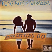 Never Letting Go - Single - King Krus