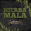 Hierba Mala