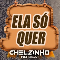 Ela Só Quer (Remix) - Single - Chelzinho no Beat