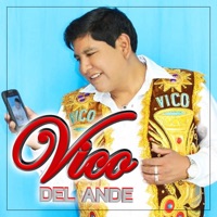 Vico del Ande - Me Enamoré