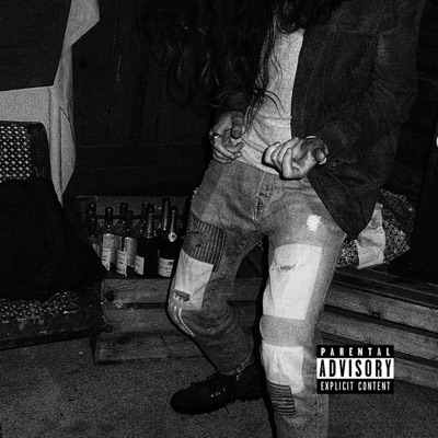 En attendant le cheveu sur la langue - Single