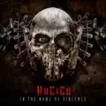 In The Name Of Violence