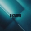 I Know (feat. Michael Mayo) - Single