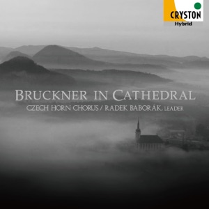 Bruckner in Cathedral