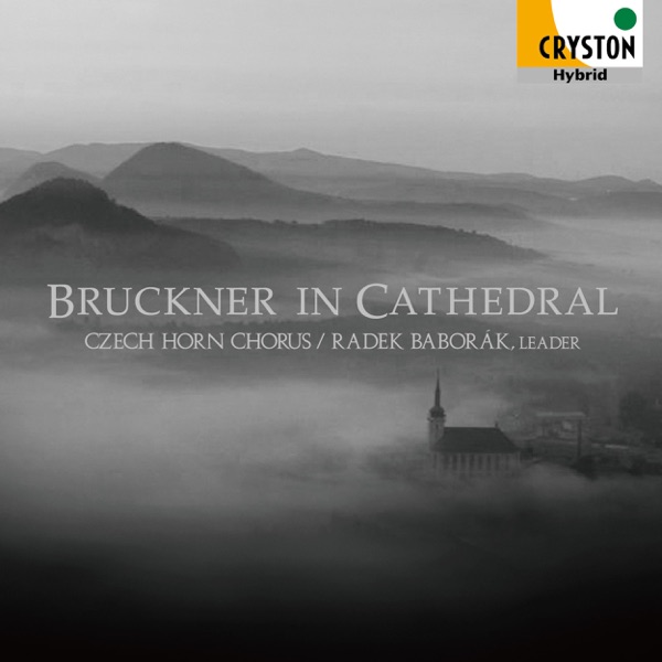 Bruckner in Cathedral