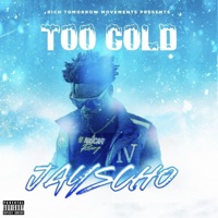 Too Cold - Single - JayScho