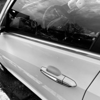 Caddy Door - Single - Penny