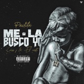 Me la Busco artwork