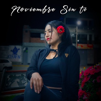 Noviembre Sin Ti (Remix) - Single