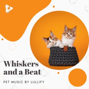 Whiskers and a Beat