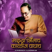 Majhya Bhimach Kalij Waghach (DJ Remix) - Single - Vaibhav Khune